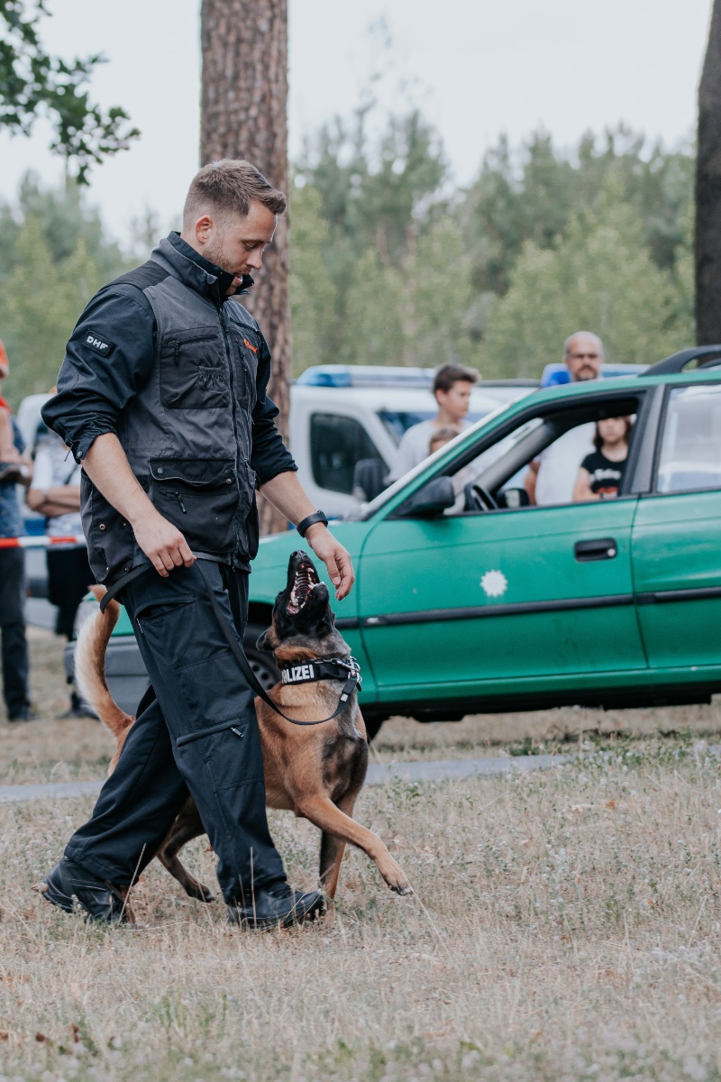 Diensthundestaffel